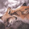 SleepyWriter