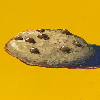 stew