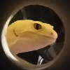 Schuldraigh