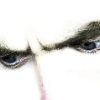 glare31337