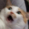 Magic Bean