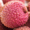 Litchi