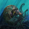 Nautilus