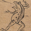 Kaguro