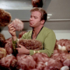 Tribbles