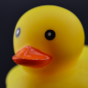 Random Duck