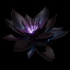 Black Lotus