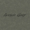 Invisio Grey