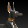 tutpuppy