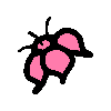 Seongkotic