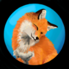 Box-Fox