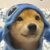 straybone