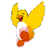 Coop500