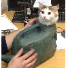 CaptainYumYum12