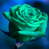 Roseofgreenestblue