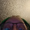 CF_HoneyBadger