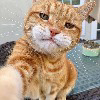 Evil_Warlord