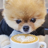 CoffeeMugChii