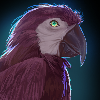 PlumParrot