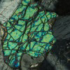 Mr_Olivine