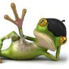 frog123