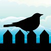 Aywren