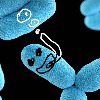 TheDivingBacteria