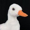 aWildAsianNamedDucky
