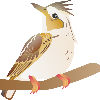 Skylar Darkprism