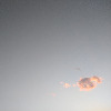 ThirdSun