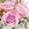 PinkRose0106