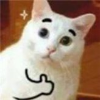 YJarex