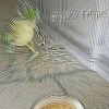 BestSoupTime