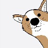 The Flying Dog