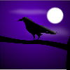 RavenLight666