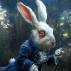 white_rabbit