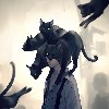 TheCatLord