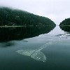 Endless_calm