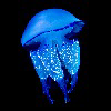 Spastic_Jellyfish