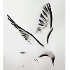 seagull
