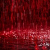 Crimson Rain