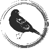 Blackbird0