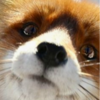 fgdfgfthgr