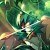 Decidueye Zealot