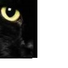 ShadoCat2