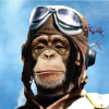 Admiralmonkeyman