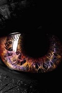 Those Who Rise