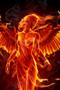 Phoenix Rebirth