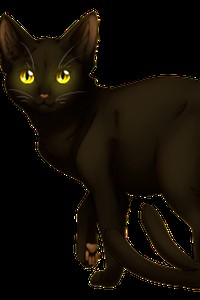 Nercokitty!