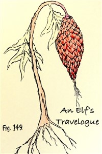 An Elf's Travelogue